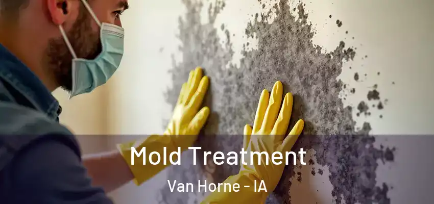  Mold Treatment Van Horne - IA