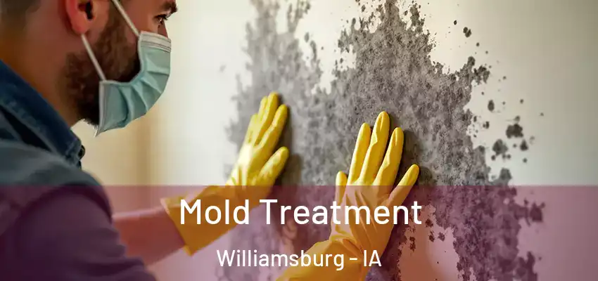 Mold Treatment Williamsburg - IA