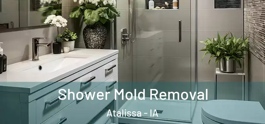  Shower Mold Removal Atalissa - IA