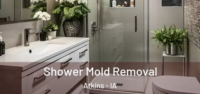  Shower Mold Removal Atkins - IA