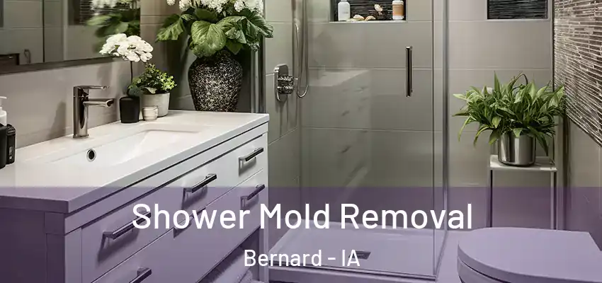Shower Mold Removal Bernard - IA
