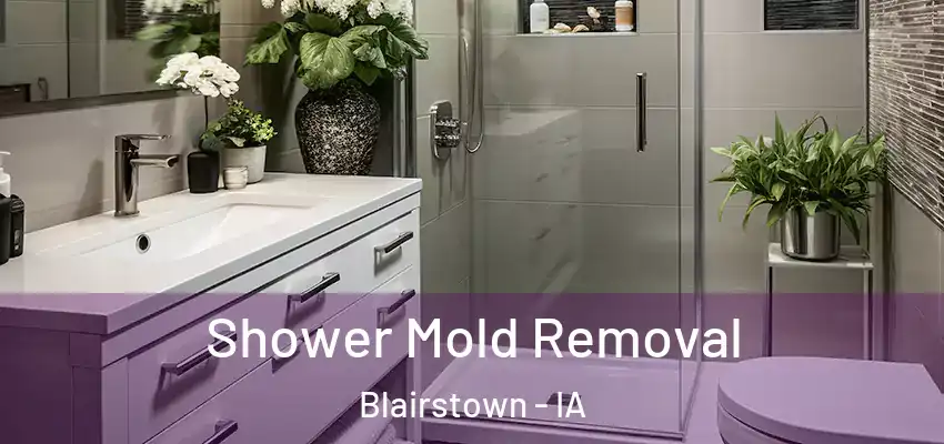 Shower Mold Removal Blairstown - IA
