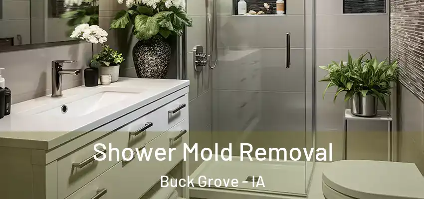  Shower Mold Removal Buck Grove - IA