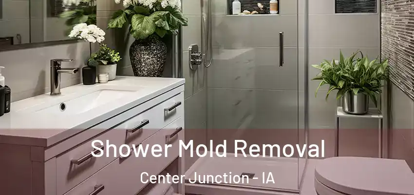  Shower Mold Removal Center Junction - IA
