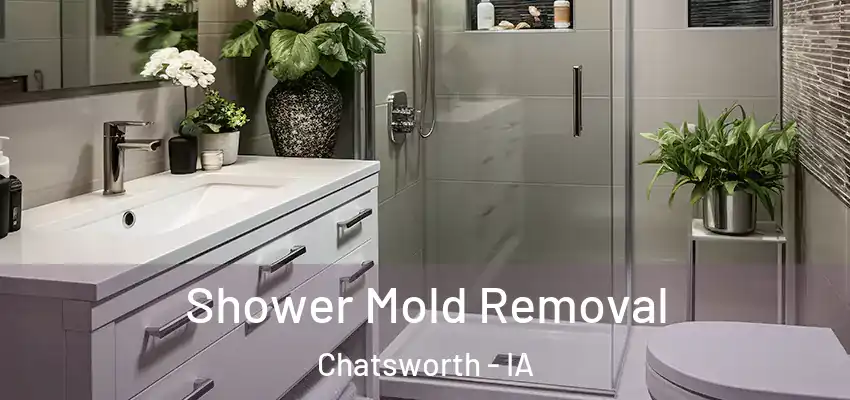 Shower Mold Removal Chatsworth - IA