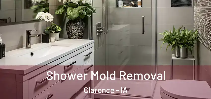 Shower Mold Removal Clarence - IA