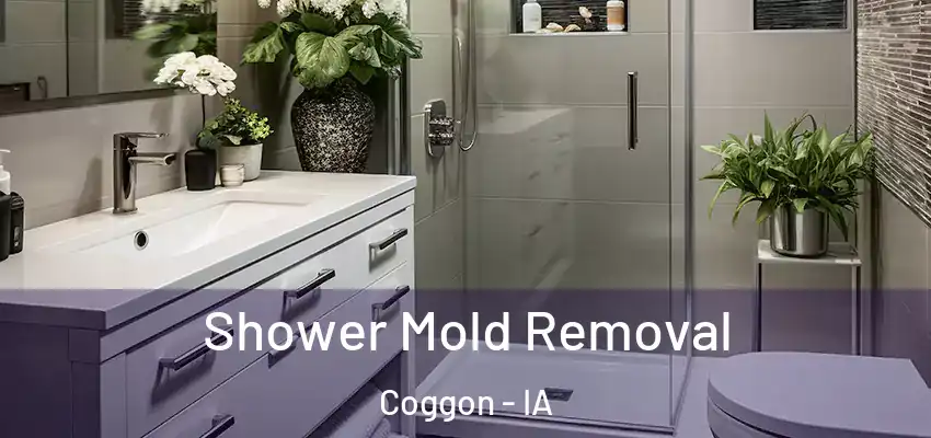  Shower Mold Removal Coggon - IA