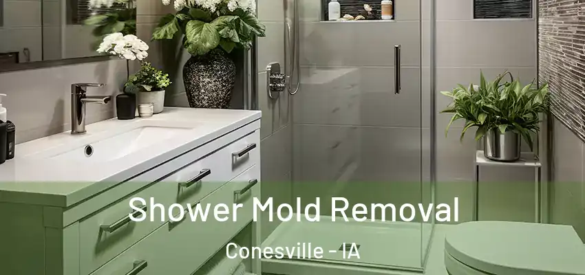 Shower Mold Removal Conesville - IA
