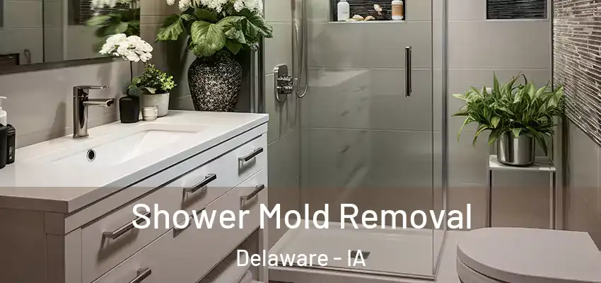 Shower Mold Removal Delaware - IA