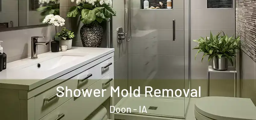  Shower Mold Removal Doon - IA