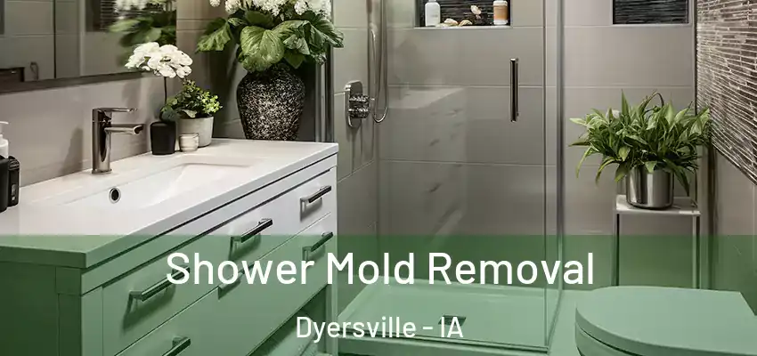  Shower Mold Removal Dyersville - IA