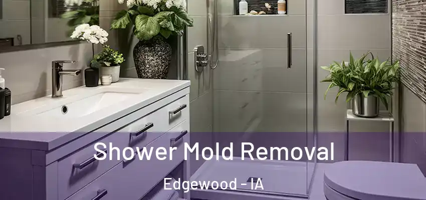 Shower Mold Removal Edgewood - IA