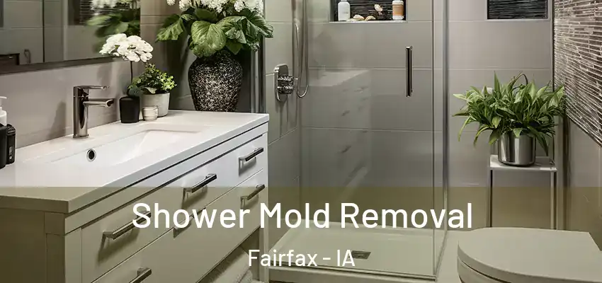  Shower Mold Removal Fairfax - IA