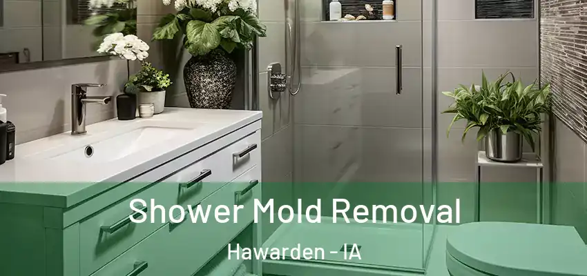  Shower Mold Removal Hawarden - IA
