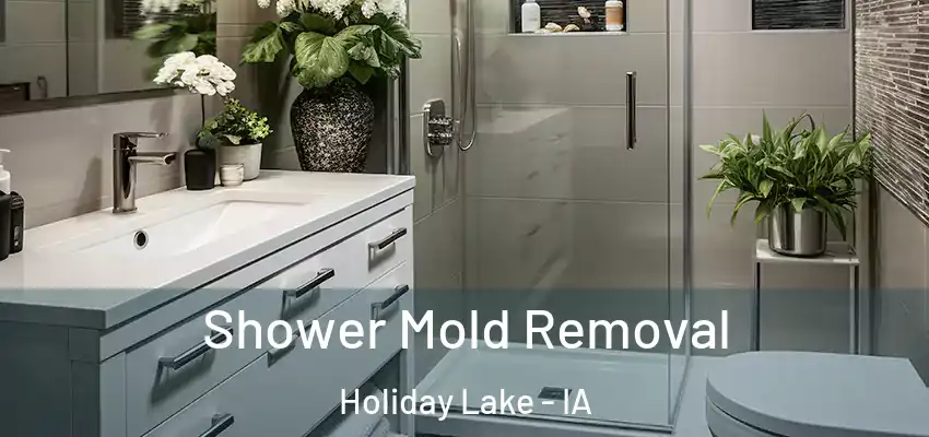  Shower Mold Removal Holiday Lake - IA
