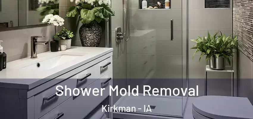 Shower Mold Removal Kirkman - IA