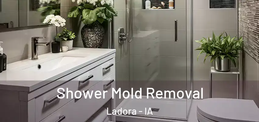 Shower Mold Removal Ladora - IA