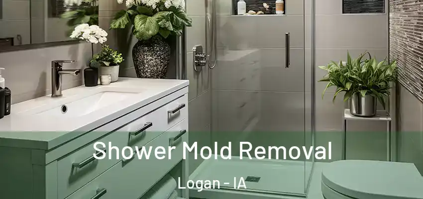 Shower Mold Removal Logan - IA