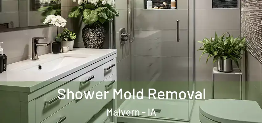 Shower Mold Removal Malvern - IA