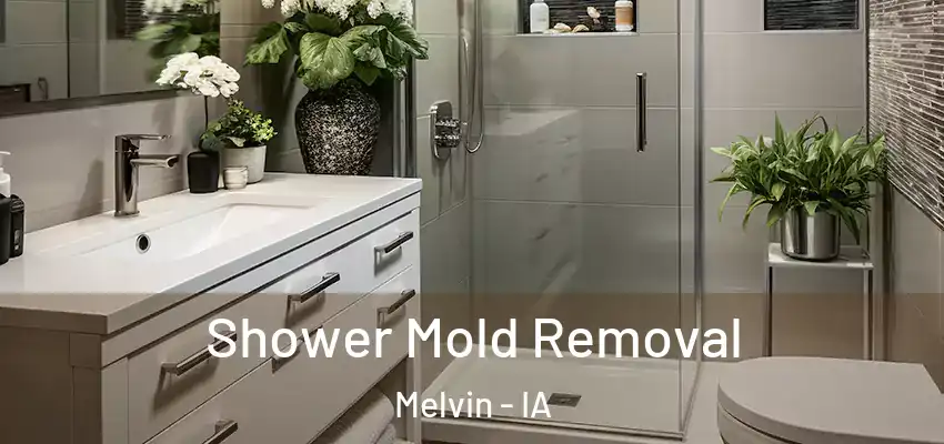 Shower Mold Removal Melvin - IA