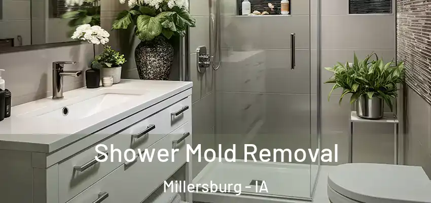 Shower Mold Removal Millersburg - IA