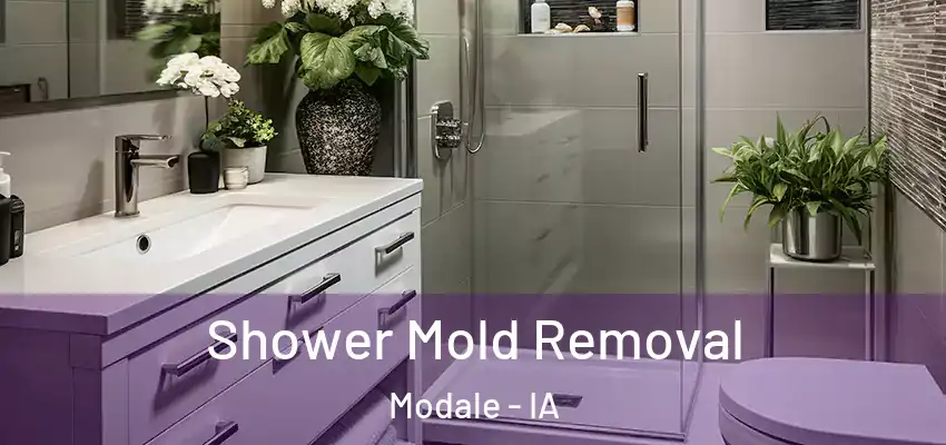 Shower Mold Removal Modale - IA