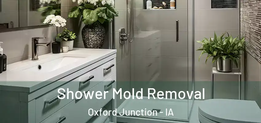  Shower Mold Removal Oxford Junction - IA