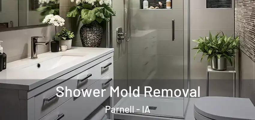  Shower Mold Removal Parnell - IA