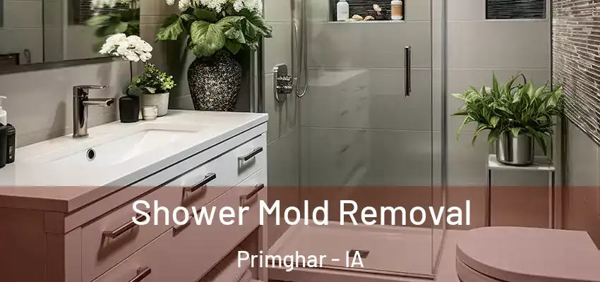 Shower Mold Removal Primghar - IA
