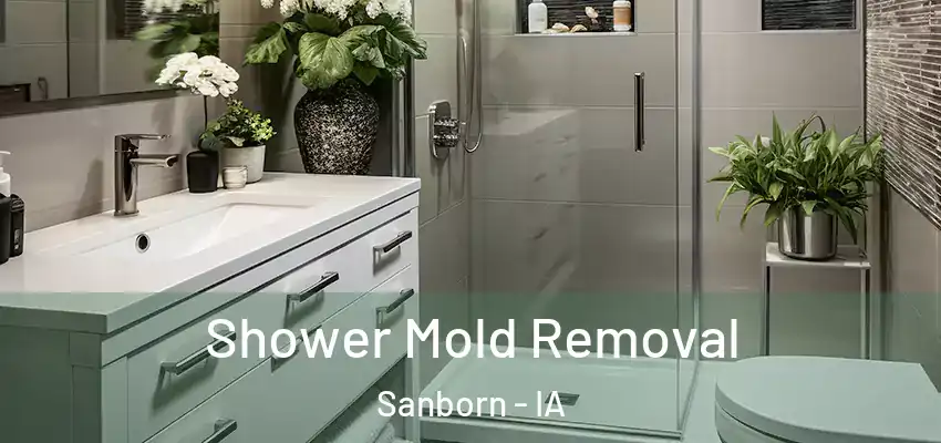 Shower Mold Removal Sanborn - IA