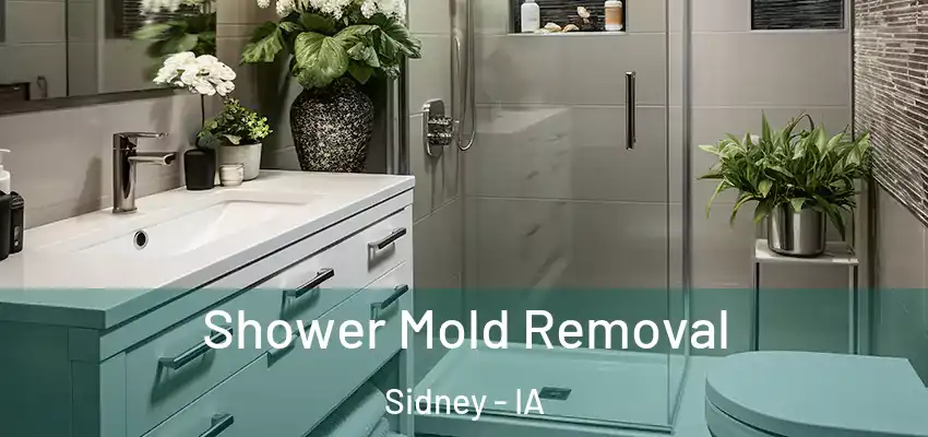 Shower Mold Removal Sidney - IA