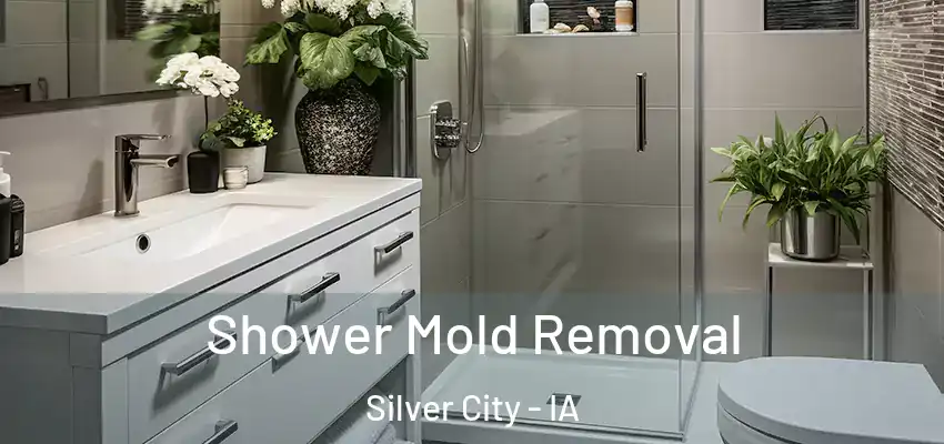  Shower Mold Removal Silver City - IA
