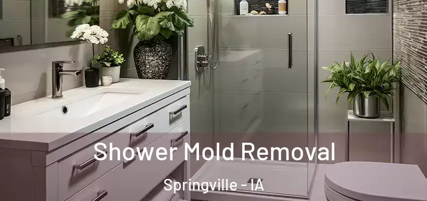  Shower Mold Removal Springville - IA