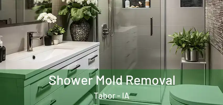 Shower Mold Removal Tabor - IA