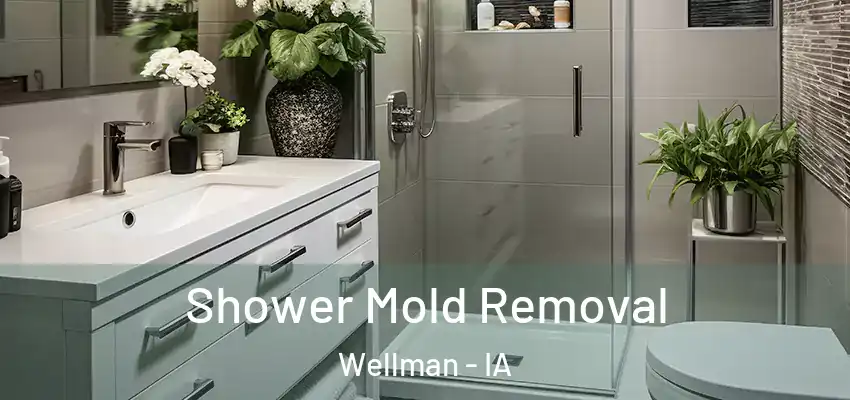  Shower Mold Removal Wellman - IA