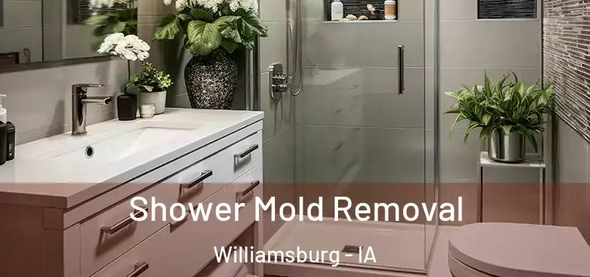 Shower Mold Removal Williamsburg - IA